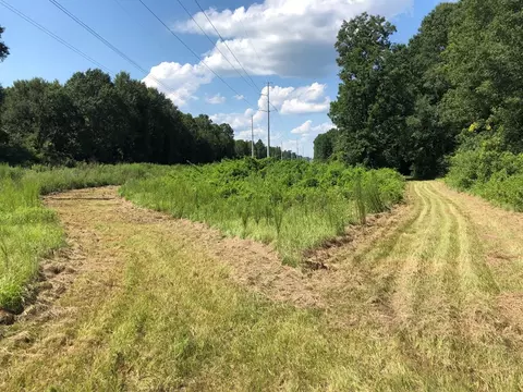 1108 Roy Deere Rd, Summit, MS 39666 photo 8