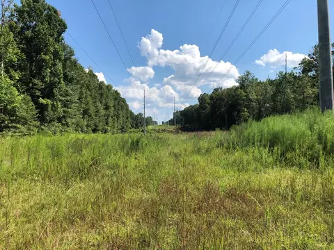 1108 Roy Deere Rd, Summit, MS 39666 photo 10