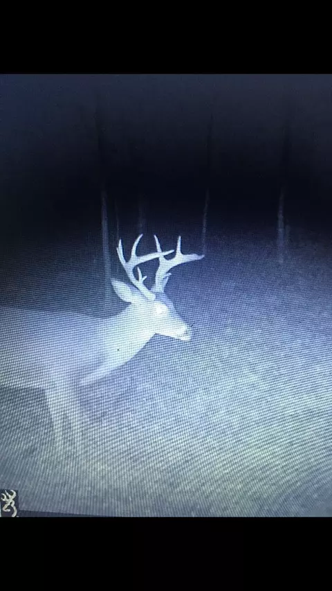 1108 Roy Deere Rd, Summit, MS 39666 photo 39