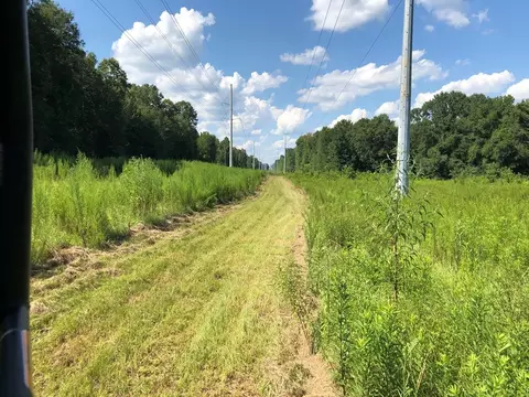 1108 Roy Deere Rd, Summit, MS 39666 photo 11