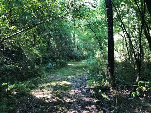 1108 Roy Deere Rd, Summit, MS 39666 photo 26