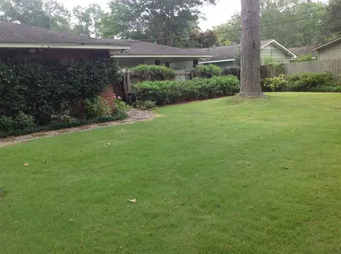 1031 Briarfield Rd, Jackson, MS 39211 photo 6