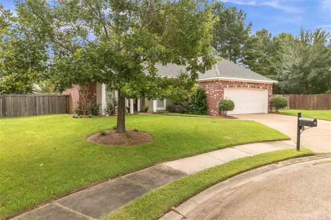 171 Regatta Dr, Brandon, MS 39047 photo 3