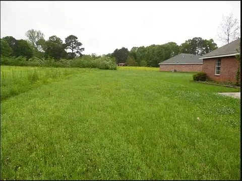 316 Brookside Cv, Terry, MS 39170 photo 2