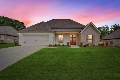 113 Sylvias Pl, Brandon, MS 39042 photo 35
