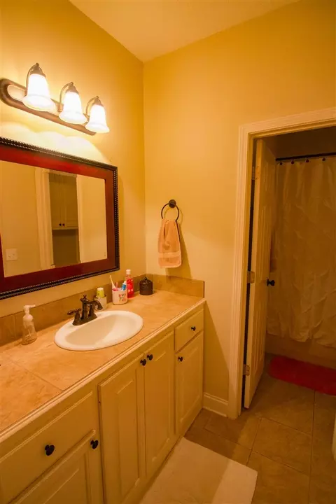 101 Rustic Way, Brandon, MS 39047 photo 27