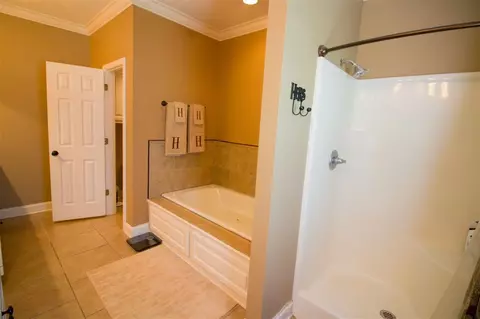 101 Rustic Way, Brandon, MS 39047 photo 37