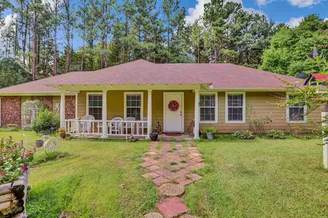 1048 Coal Bluff Rd, Lena, MS 39094 photo 3