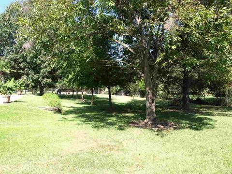 11275 Highway 49, Jackson, MS 39209 photo 35