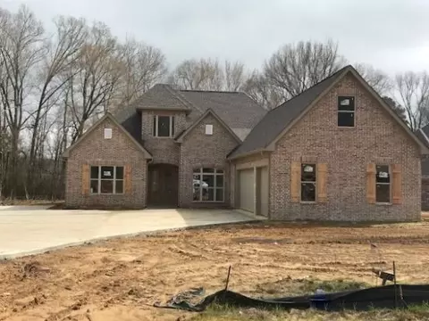 223 Glen Arbor Blvd, Brandon, MS 39042 photo 19