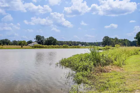 524 Timber Run, Brandon, MS 39047 photo 48