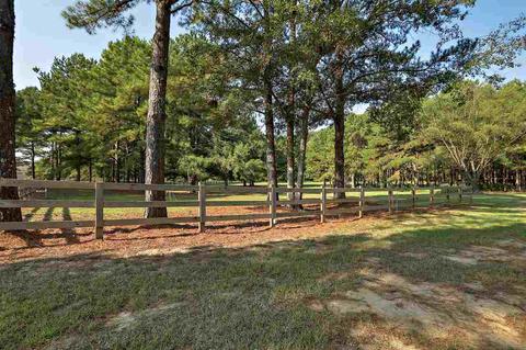 175 Lake Hill Dr, Flora, MS 39071 photo 32