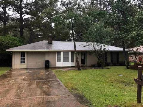 201 Turtle Creek Dr, Brandon, MS 39047 photo 1
