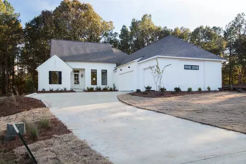 312 Wellstone Pl, Madison, MS 39110 photo 1