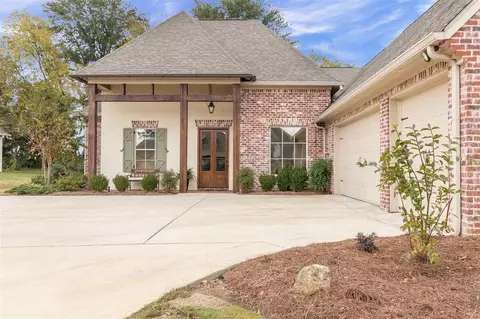 143 Belle Terre Dr, Madison, MS 39110 photo 5
