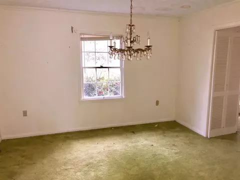 102 Azalea Dr, Forest, MS 39074 photo 5