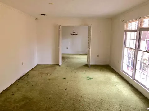 102 Azalea Dr, Forest, MS 39074 photo 6