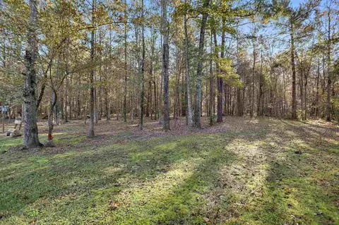 113 St Charles Ave, Florence, MS 39073 photo 34