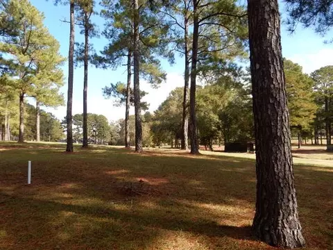 501 Bay Pointe Cv, Brandon, MS 39047 photo 46