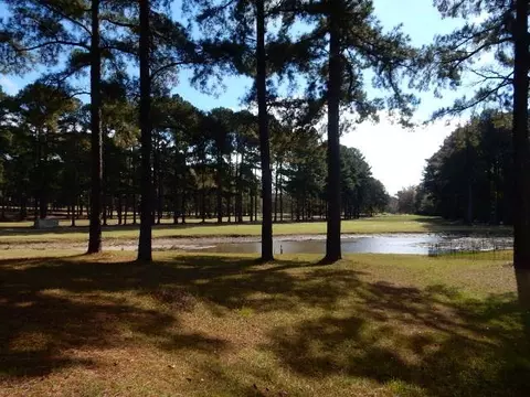 501 Bay Pointe Cv, Brandon, MS 39047 photo 45