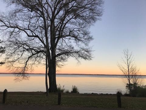 old trace road LOT 57, Madison, MS 39110