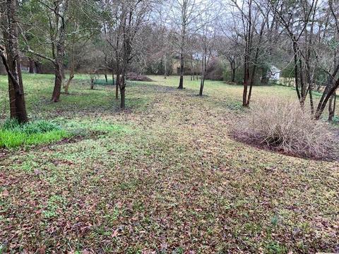 203 W Jasper St, Brandon, MS 39042 photo 17
