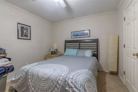 405 Green Tree Pl, Flowood, MS 39232 photo 13