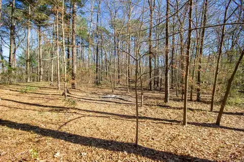 420 Burnham Rd, Brandon, MS 39042 photo 47