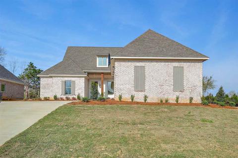 113 Coventry Ln, Canton, MS 39046 photo 1
