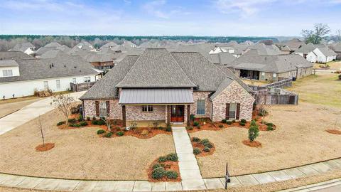 146 Belle Terre Dr, Madison, MS 39110 photo 47