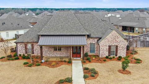 146 Belle Terre Dr, Madison, MS 39110 photo 2