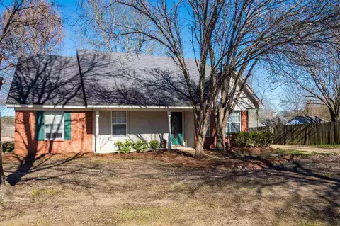 196 Cobblestone Dr, Madison, MS 39110 photo 2