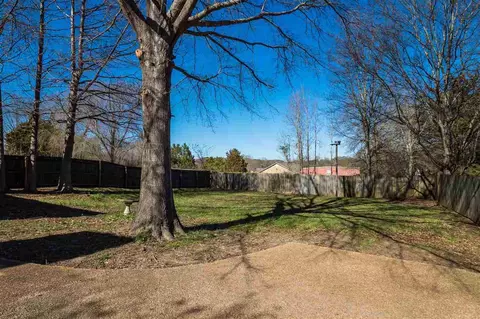 196 Cobblestone Dr, Madison, MS 39110 photo 4