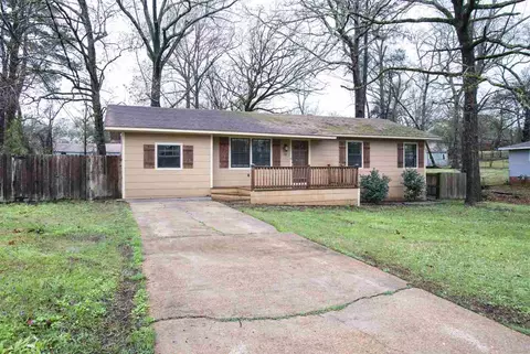249 Ann Dr, Pearl, MS 39208 photo 3