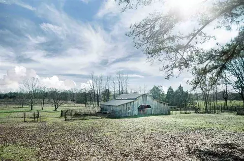 4525 Tank Rd, Terry, MS 39170 photo 10