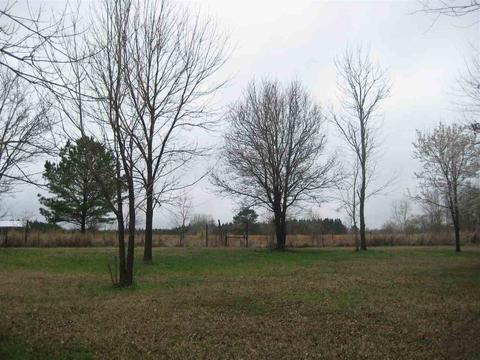 182 D Bates Rd, Morton, MS 39117 photo 21