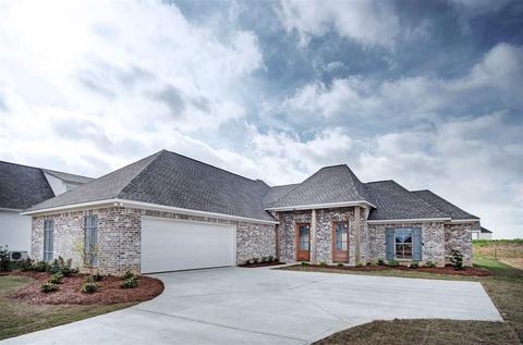 424 Araglen Dr, Canton, MS 39046 photo 1