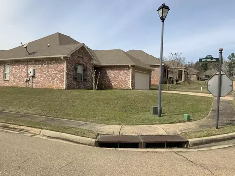 301 Silvertree Ln, Pearl, MS 39208 photo 3