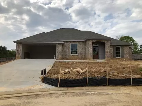 313 Bald Cypress Cv, Terry, MS 39170 photo 1