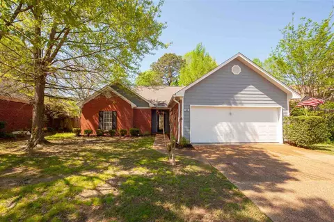 154 Willow Oak Ln, Brandon, MS 39047 photo 2