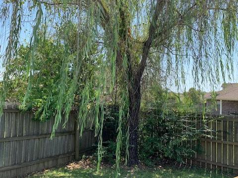 111 Susan Ln, Brandon, MS 39042 photo 35