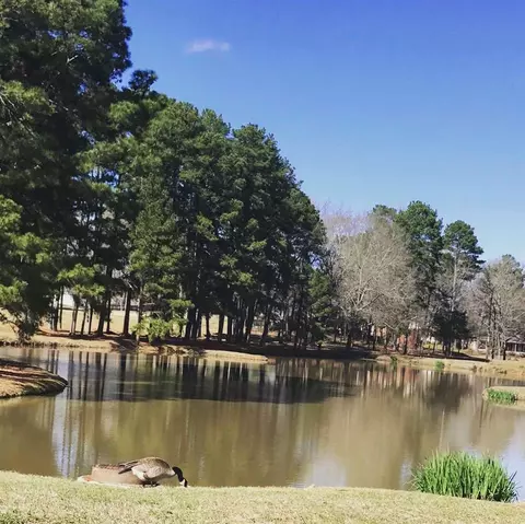 560 Arbor Dr, Madison, MS 39110 photo 33