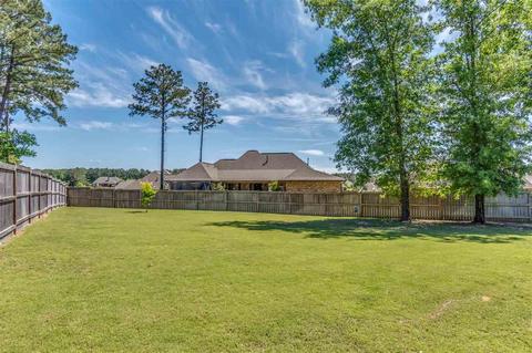 143 Brisco St, Madison, MS 39110 photo 49