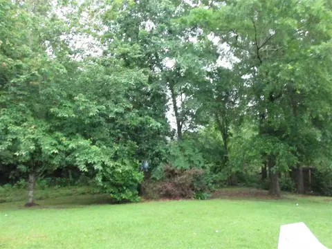 301 Avalon Way, Brandon, MS 39047 photo 42