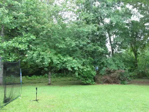 301 Avalon Way, Brandon, MS 39047 photo 43