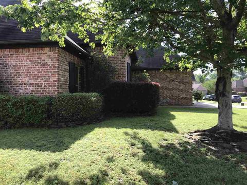 506 Pinebark Cv, Brandon, MS 39047 photo 6