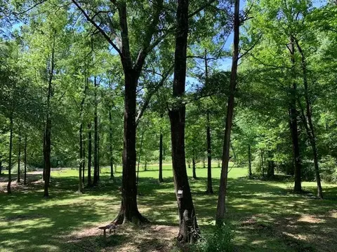 115 Justin Ln, Raymond, MS 39154 photo 7