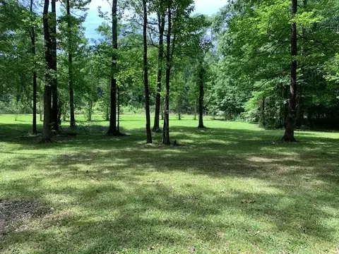115 Justin Ln, Raymond, MS 39154 photo 6
