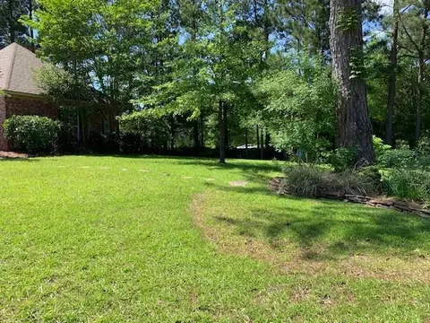118 Timbercrest Ln, Brandon, MS 39047 photo 49
