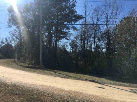 0 S U Highway 49, Magee, MS 39111 photo 4